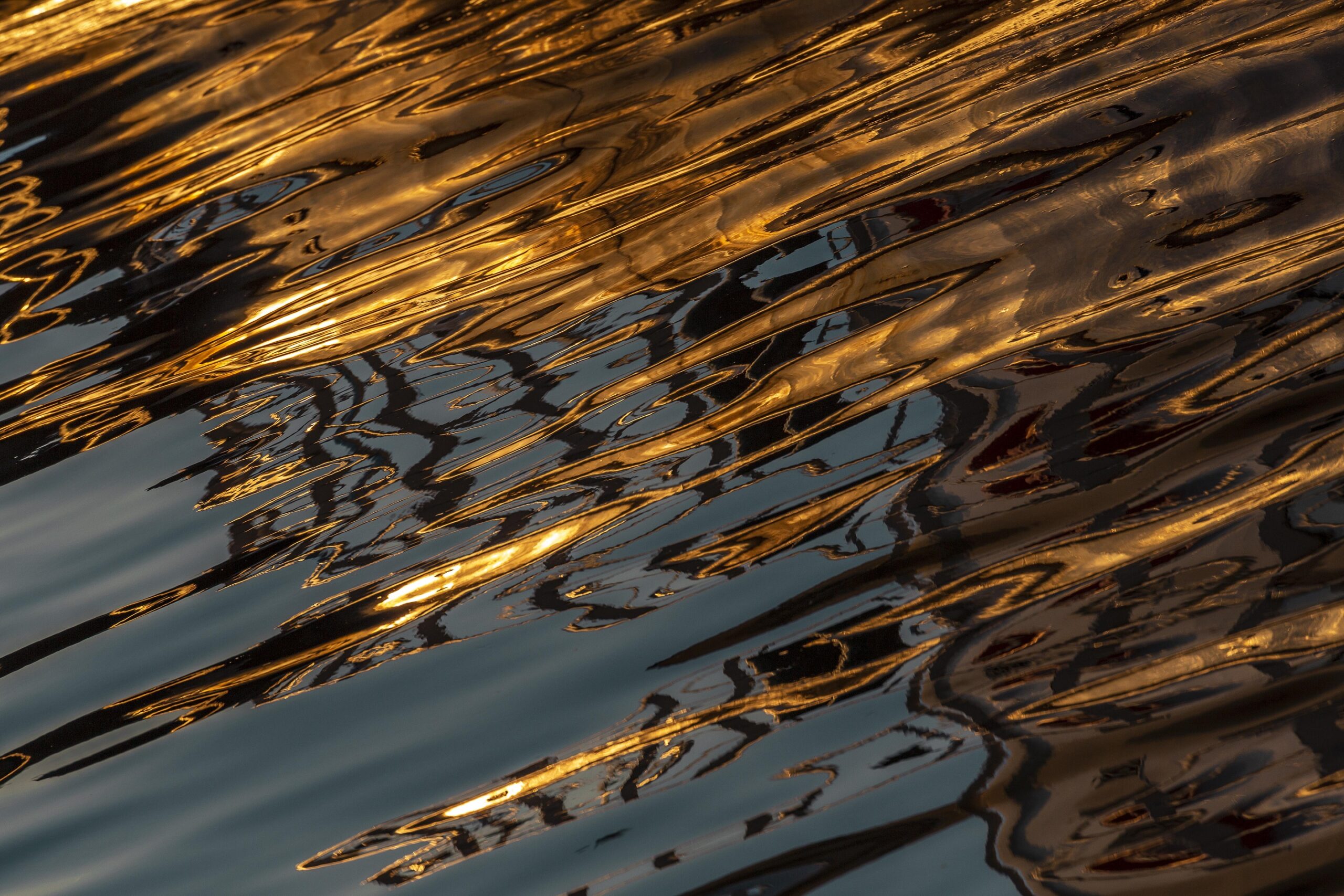 KENDİNİ ANKA KUŞU(PHOENİX) OLARAK ADLANDIRAN ve  VENEDİK BİENALİNDE  SERGİLENEN ESERİ İLE   ÖDÜL ALAN   FOTOĞRAF SANATÇISI MELTEM AKGÜN ‘ ÜN  İLK KİŞİSEL SERGİSİSİ “ RESSAM – DOĞA”  A11HOTELS‘ DE