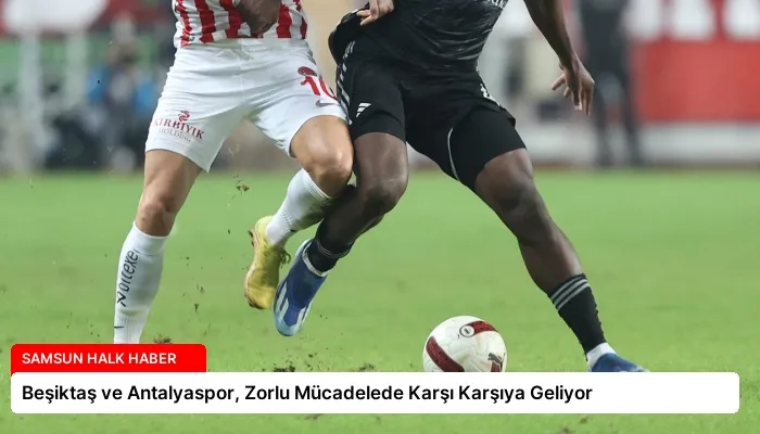Beşiktaş ve Antalyaspor, Zorlu Mücadelede Karşı Karşıya Geliyor