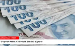 Türkiye’de Melek Yatırımcılık Sektörü Büyüyor