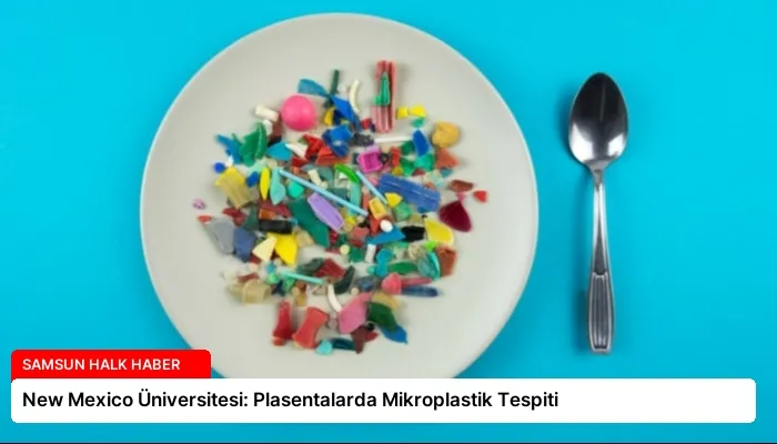New Mexico Üniversitesi: Plasentalarda Mikroplastik Tespiti