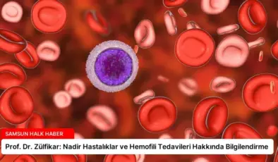 Prof. Dr. Zülfikar: Nadir Hastalıklar ve Hemofili Tedavileri Hakkında Bilgilendirme