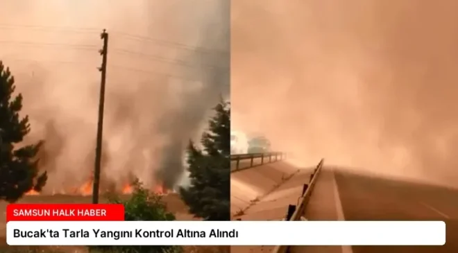 Bucak’ta Tarla Yangını Kontrol Altına Alındı