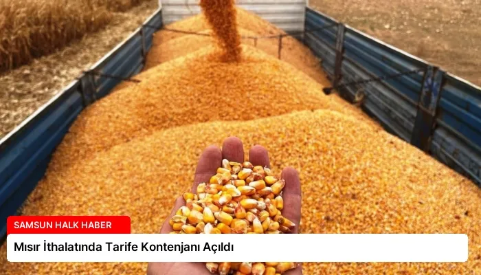 Mısır İthalatında Tarife Kontenjanı Açıldı