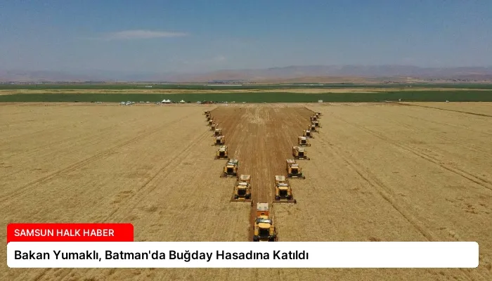 Bakan Yumaklı, Batman’da Buğday Hasadına Katıldı
