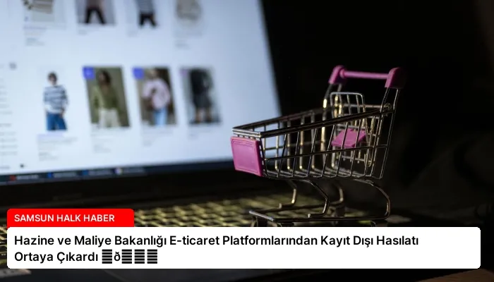 Hazine ve Maliye Bakanlığı E-ticaret Platformlarından Kayıt Dışı Hasılatı Ortaya Çıkardı ⏬👇