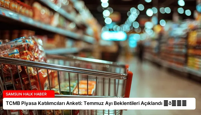 TCMB Piyasa Katılımcıları Anketi: Temmuz Ayı Beklentileri Açıklandı ⏬👇