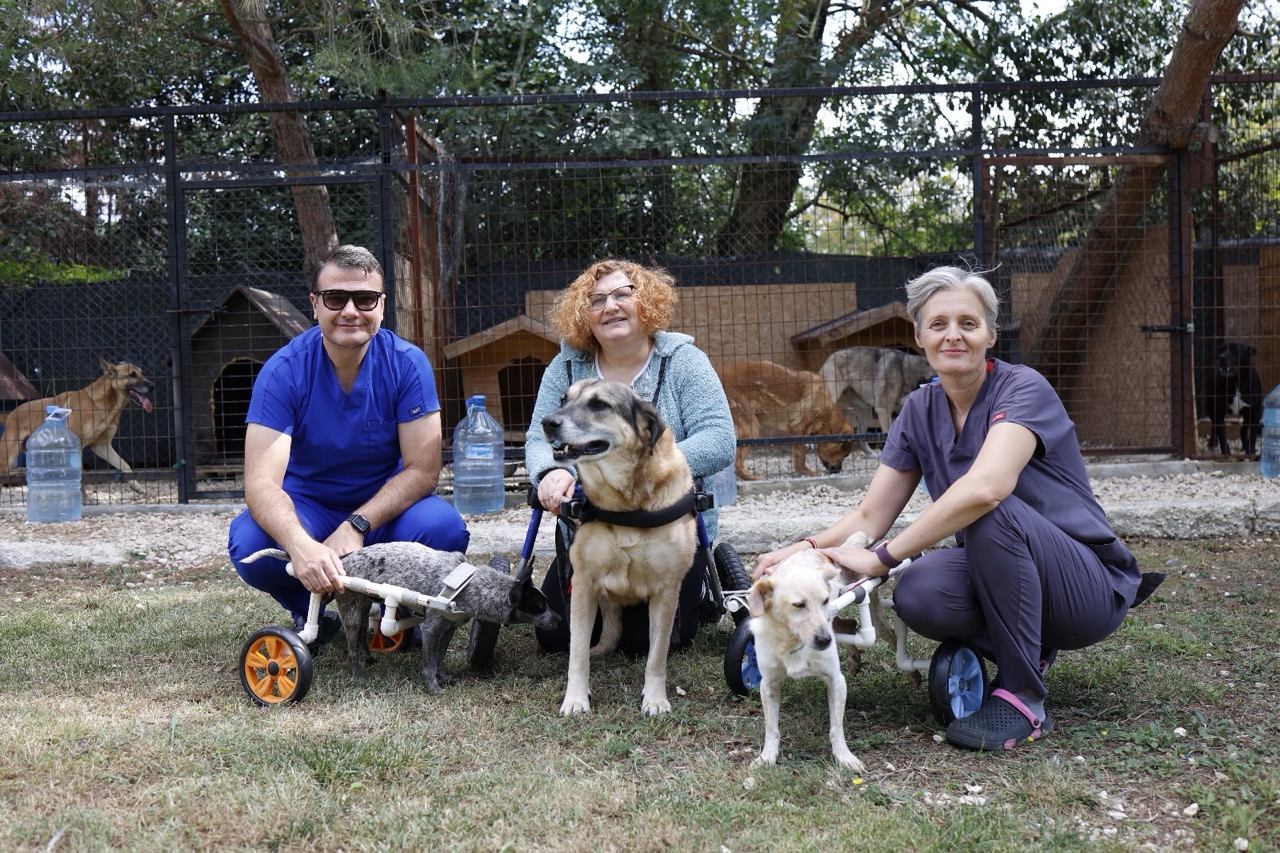 Özel hayvan bakım evi ENCANDER, Hayvanları Koruma Günü için bağış çağrısı yaptı