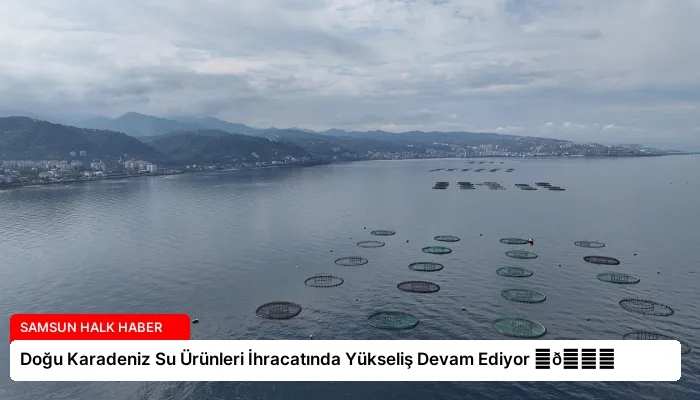 Doğu Karadeniz Su Ürünleri İhracatında Yükseliş Devam Ediyor ⏬👇