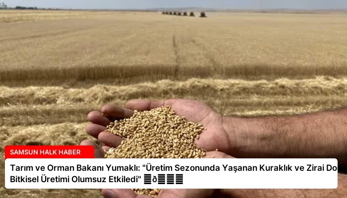 Tarım ve Orman Bakanı Yumaklı: “Üretim Sezonunda Yaşanan Kuraklık ve Zirai Don Bitkisel Üretimi Olumsuz Etkiledi” ⏬👇