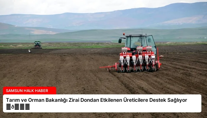 Tarım ve Orman Bakanlığı Zirai Dondan Etkilenen Üreticilere Destek Sağlıyor ⏬👇