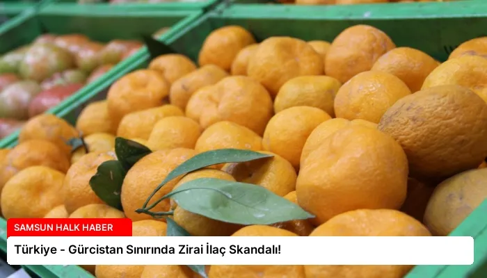 Türkiye – Gürcistan Sınırında Zirai İlaç Skandalı!