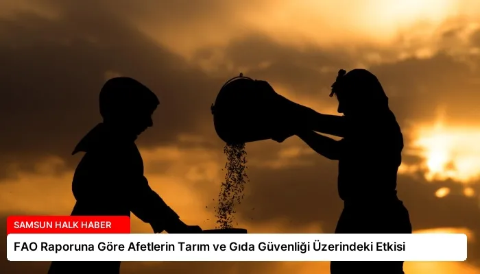 FAO Raporuna Göre Afetlerin Tarım ve Gıda Güvenliği Üzerindeki Etkisi