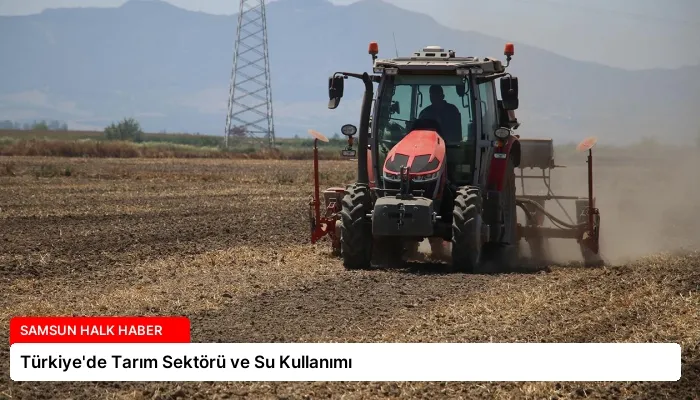 Türkiye’de Tarım Sektörü ve Su Kullanımı