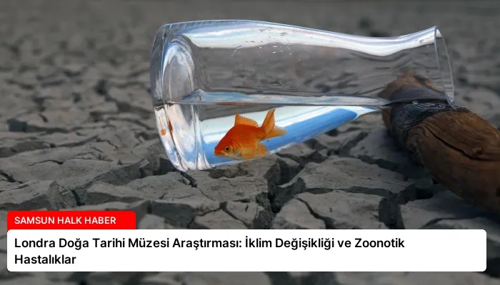 Londra Doğa Tarihi Müzesi Araştırması: İklim Değişikliği ve Zoonotik Hastalıklar