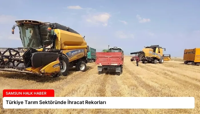 Türkiye Tarım Sektöründe İhracat Rekorları