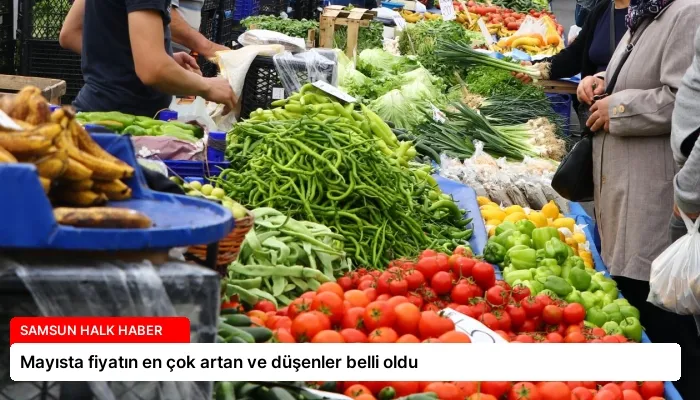 Mayısta fiyatın en çok artan ve düşenler belli oldu