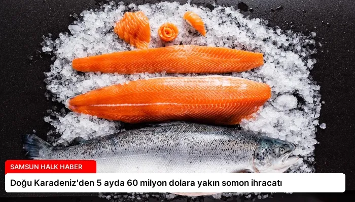 Doğu Karadeniz’den 5 ayda 60 milyon dolara yakın somon ihracatı
