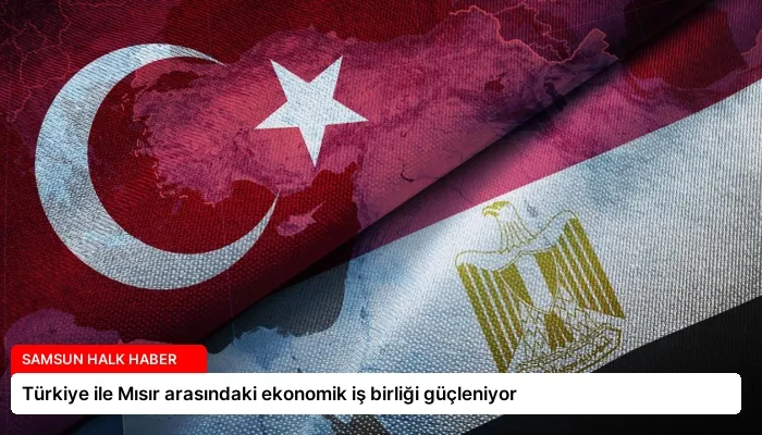 Türkiye ile Mısır arasındaki ekonomik iş birliği güçleniyor