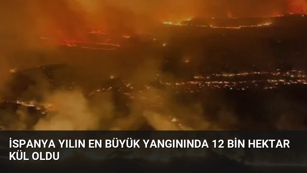 İspanya Yılın En Büyük Yangınında 12 Bin Hektar Kül Oldu