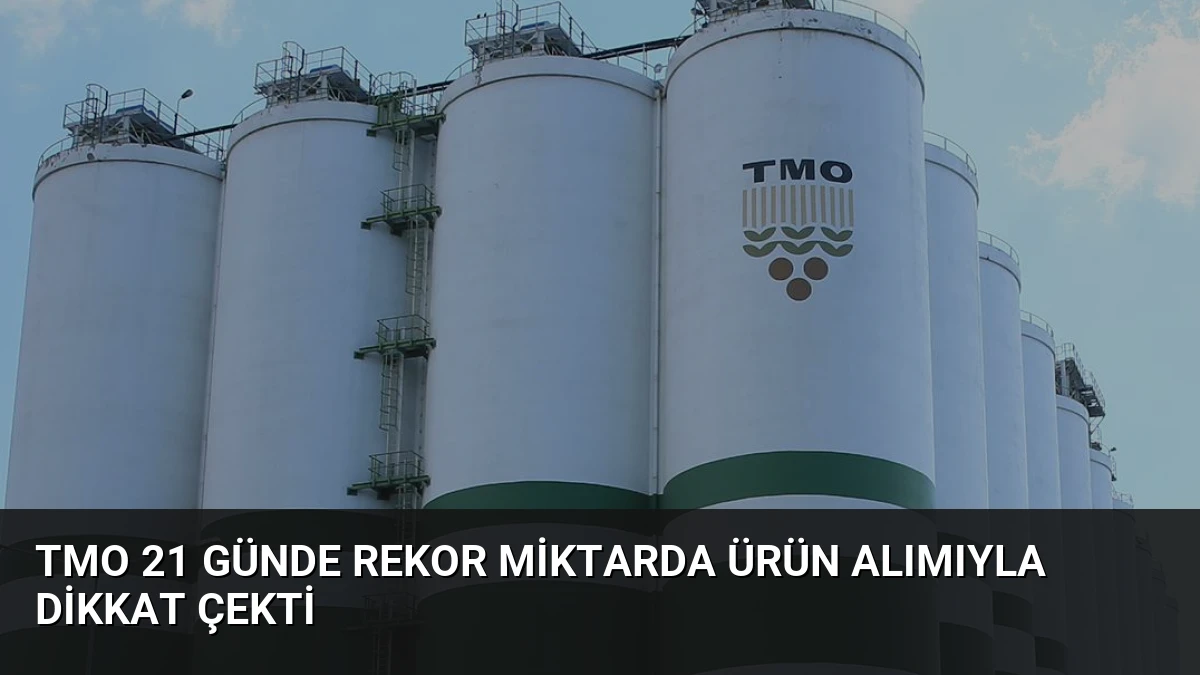 TMO 21 Günde Rekor Miktarda Ürün Alımıyla Dikkat Çekti