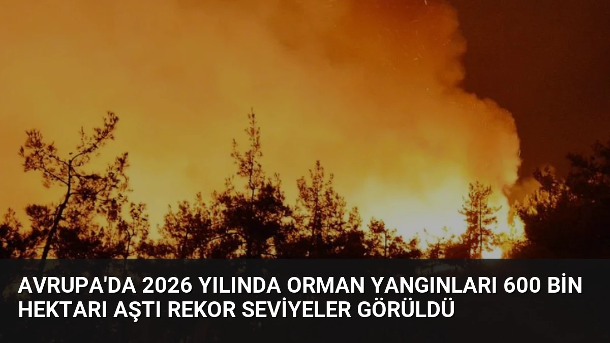Avrupa’da 2026 Yılında Orman Yangınları 600 Bin Hektarı Aştı Rekor Seviyeler Görüldü