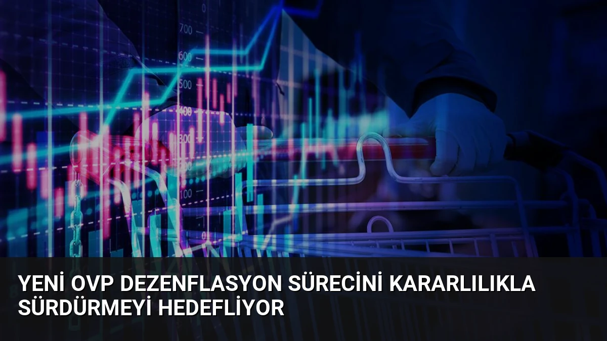 Yeni OVP Dezenflasyon Sürecini Kararlılıkla Sürdürmeyi Hedefliyor