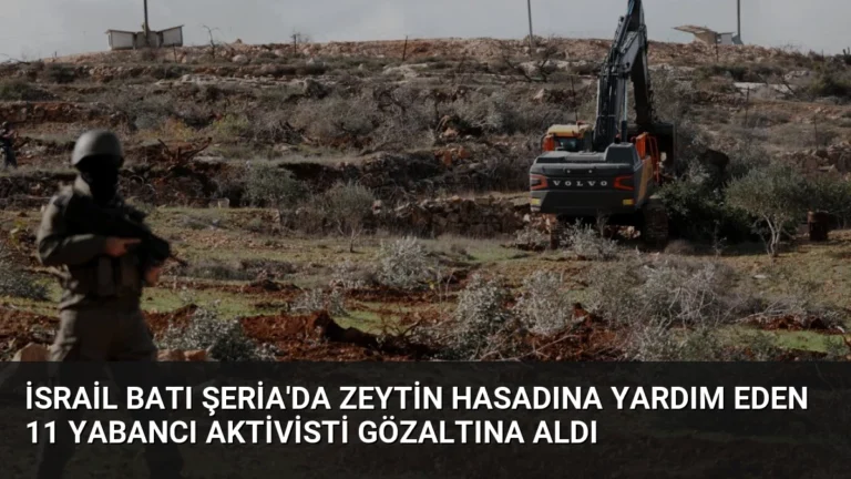 İsrail Batı Şeria’da Zeytin Hasadına Yardım Eden 11 Yabancı Aktivisti Gözaltına Aldı
