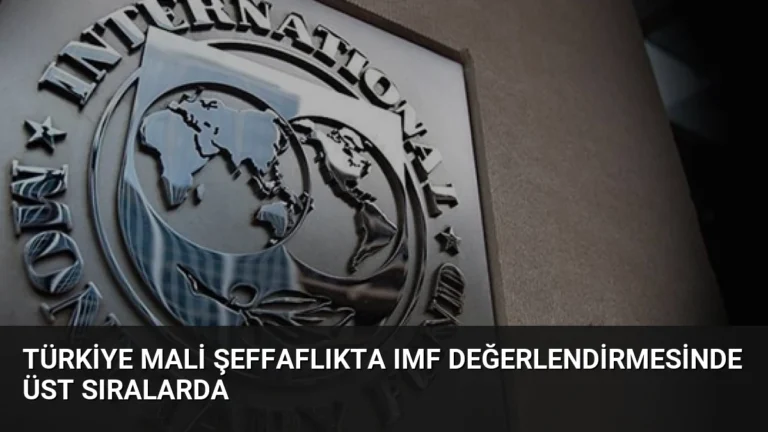 Türkiye Mali Şeffaflıkta IMF Değerlendirmesinde Üst Sıralarda